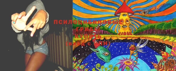 бошки Инсар