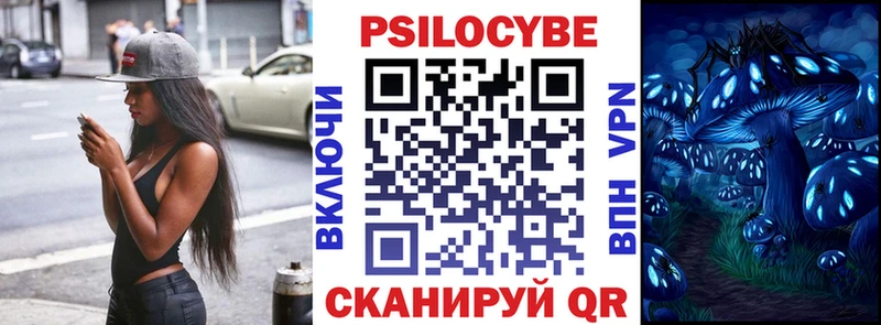 Псилоцибиновые грибы Psilocybe  Юрьевец 